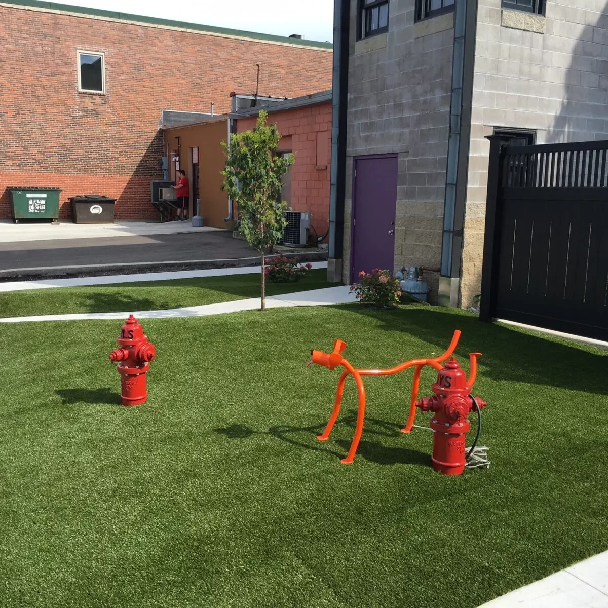 Shaw Grass | Wacky's Flooring